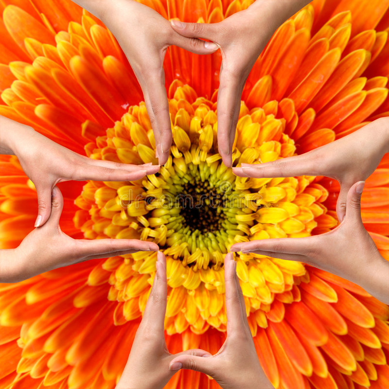 स्वस्थ समाज